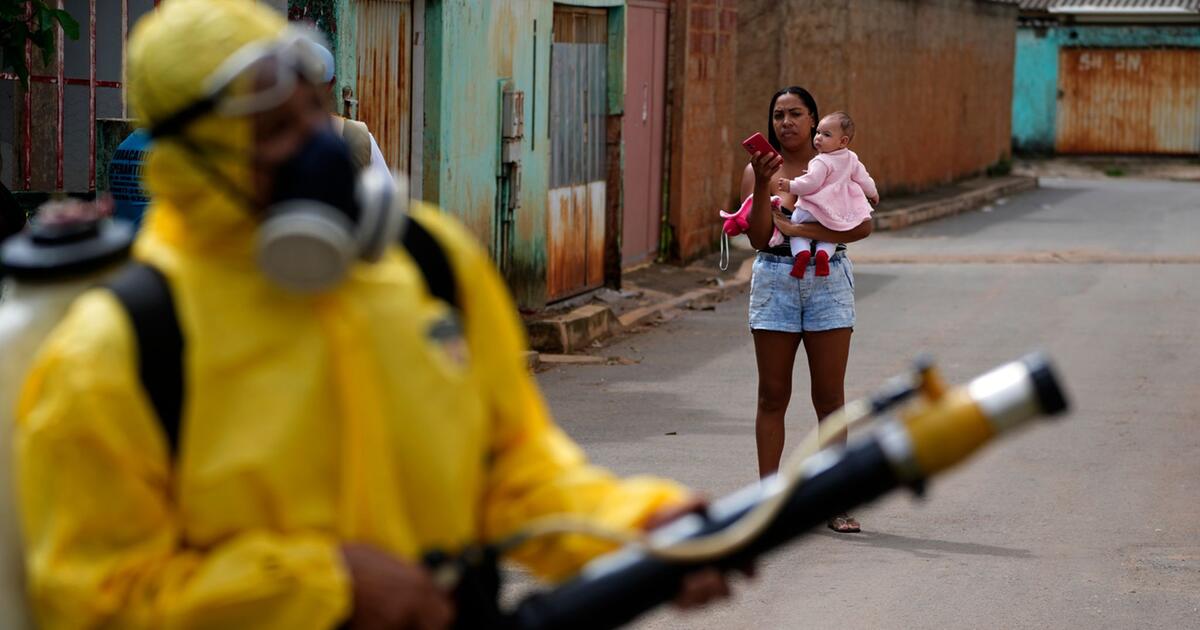 Grave epidemia di dengue in Brasile