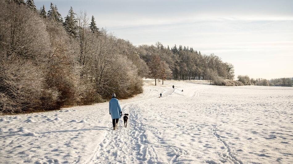 Person mit Hund im Schnee