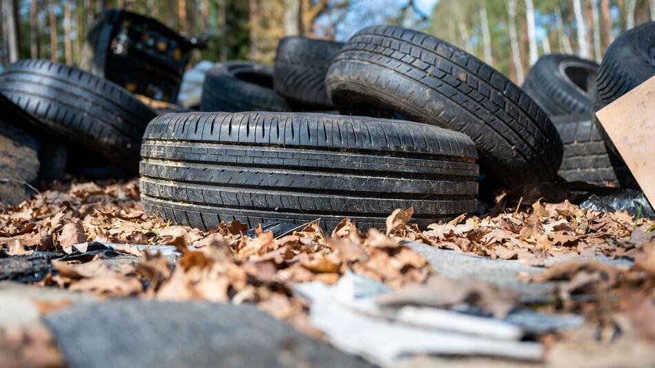 Illegale Müllentsorgung im Wald