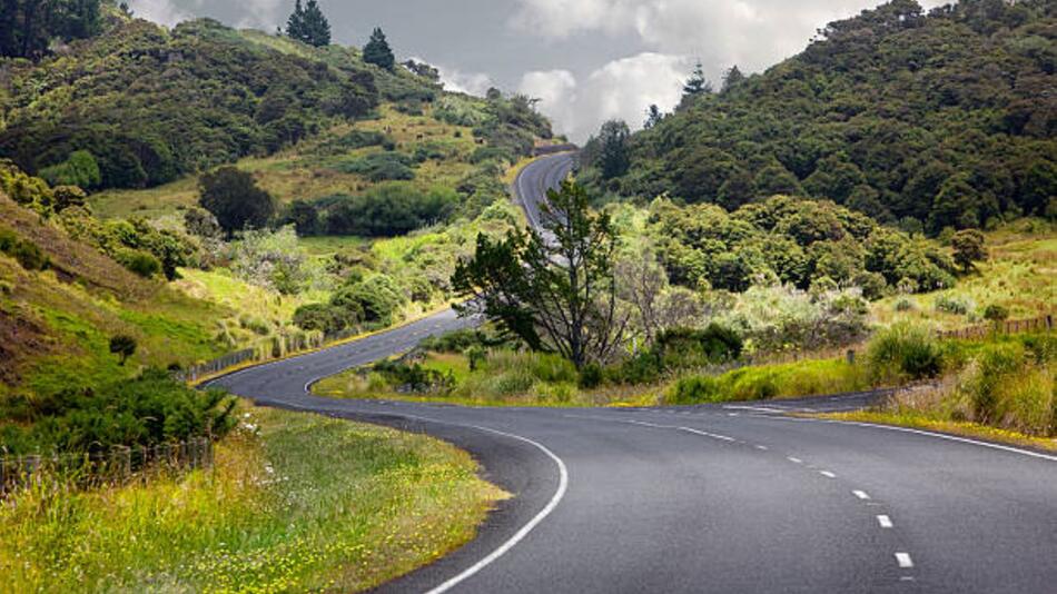 Eine Straße führt durch die Nordinsel Neuseelands.