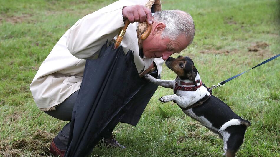 Königin Camilla trauert um einen ihrer Hunde