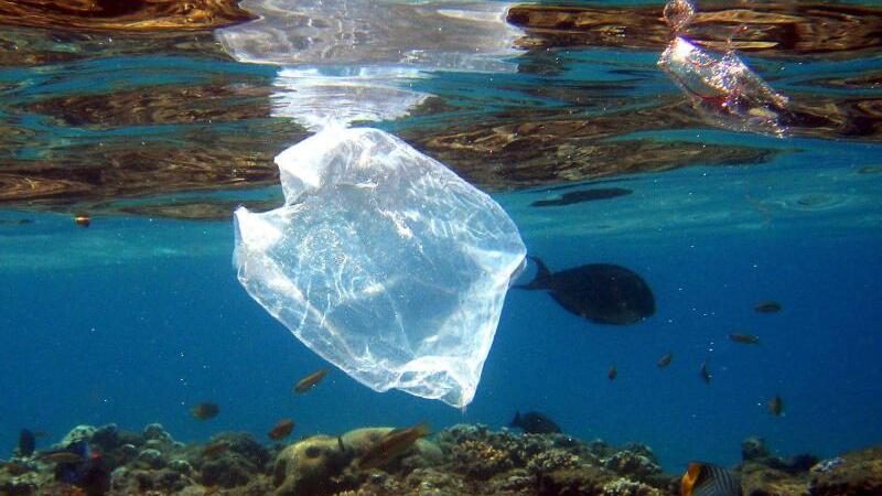 Plastiktüte im Meer