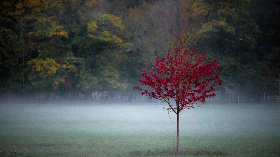 Herbstliches Wetter am Abend