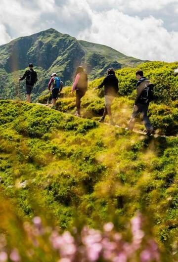 Tagestour mit Wanderführer