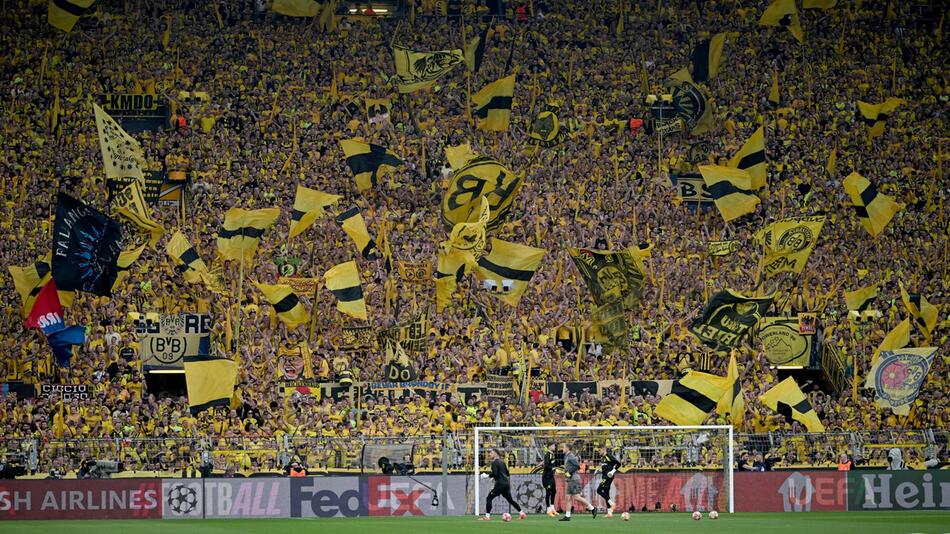 Dortmund-Fans