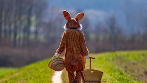 Osterhase