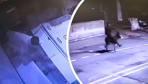 Flucht-Tier: Einbrecher macht sich mit Gold auf Esel davon