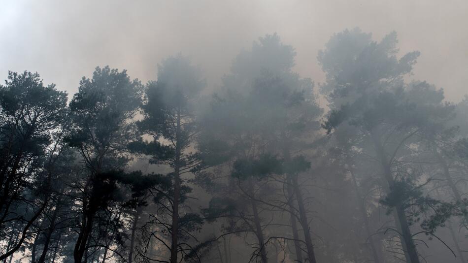 Waldbrand in Brandenburg