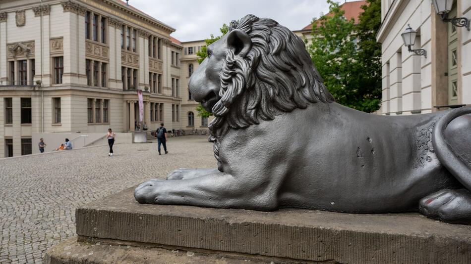 Martin-Luther-Universität (MLU)