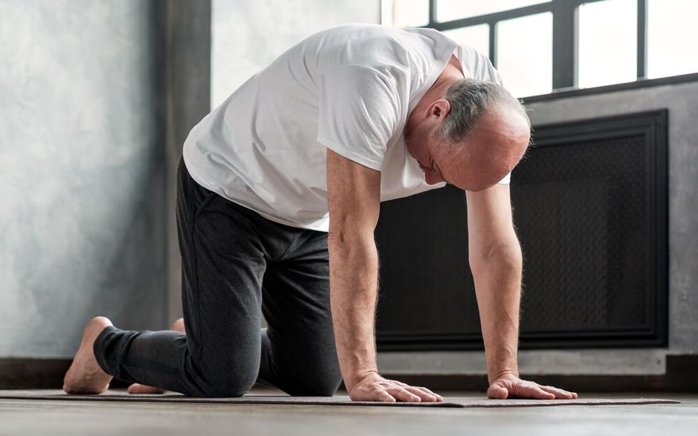 Yoga für Senioren - Übung: Katzenbuckel, Marjariasana