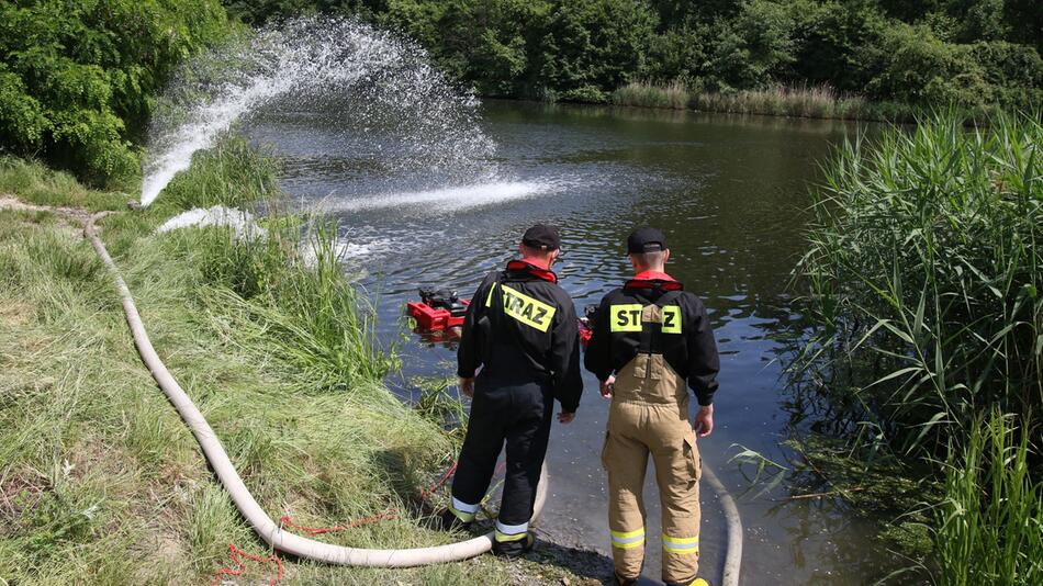 Fischsterben im Gleiwitzer Kanal in Polen