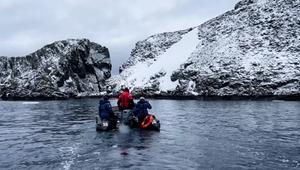 Spannender Job: Pinguine zählen in der Antarktis