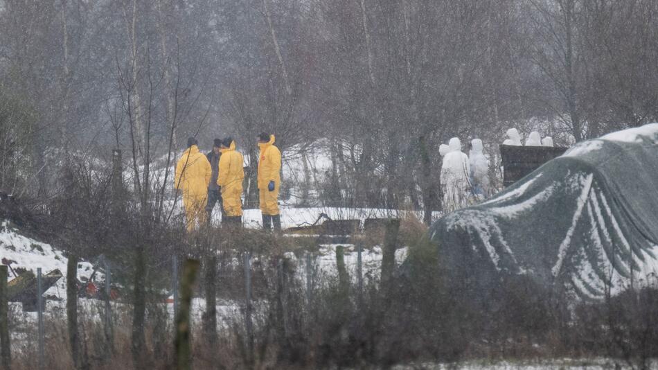 Maul- und Klauenseuche in Brandenburg ausgebrochen