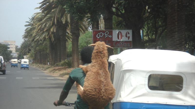 Straße in Bahir Dar