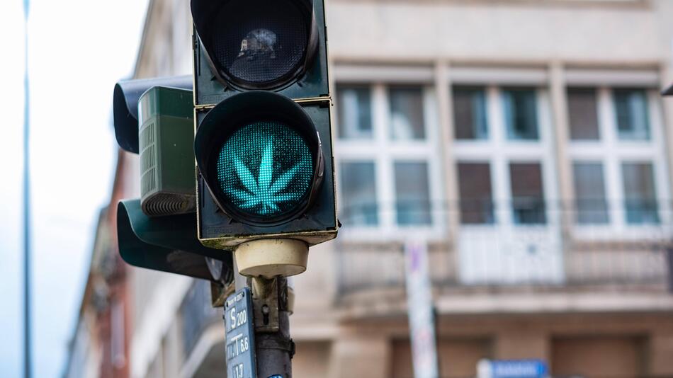 Eine Ampel die Grüneslicht für eine Cannabis-Legalisierung gibt