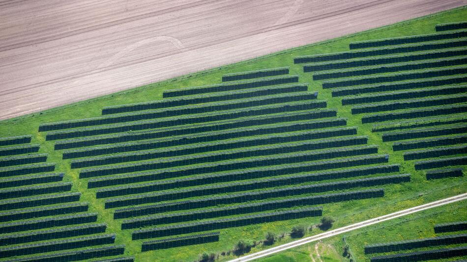 Freiflächen-Photovoltaik