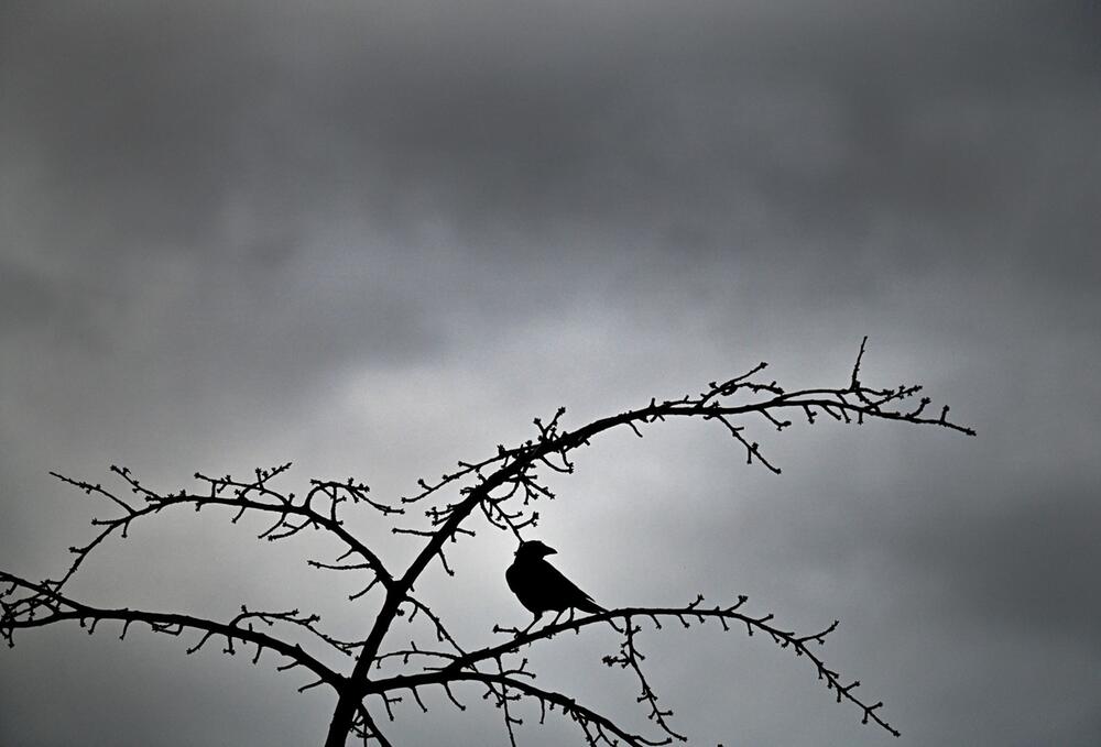 Grauer Himmel, Wind und Regen in Nordrhein-Westfalen