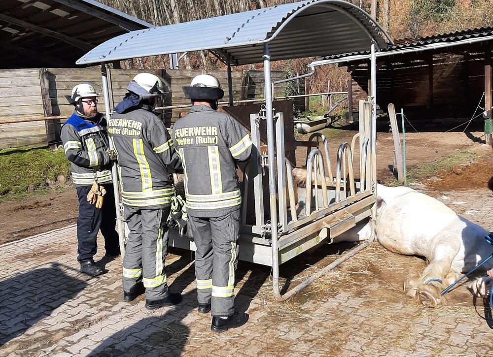 Die Feuerwehr eilt zur Hilfe.