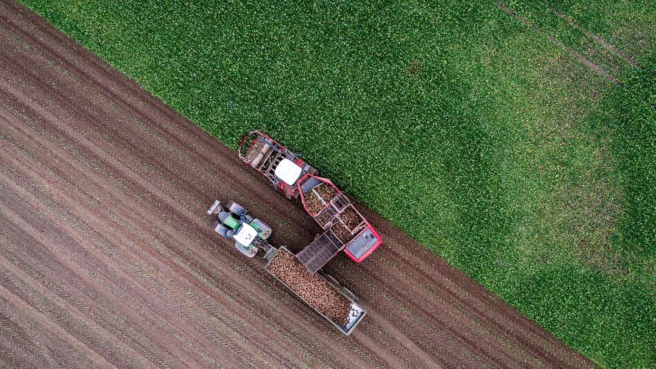 Landwirtschaft in Mecklenburg-Vorpommern