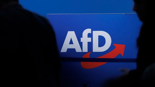 AfD Logo - SYMBOLBILD