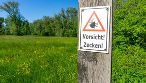 Warnung vor Zecken