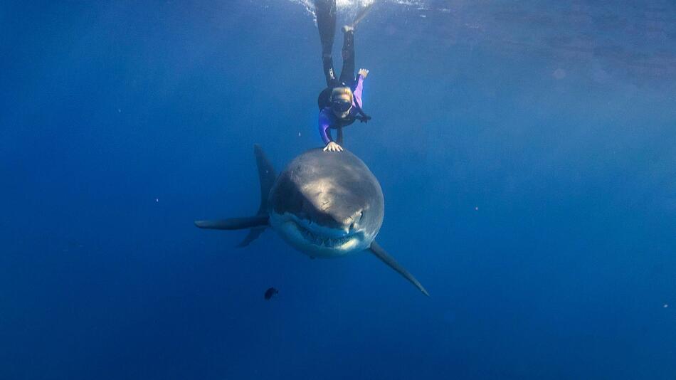 Ocean Ramsey