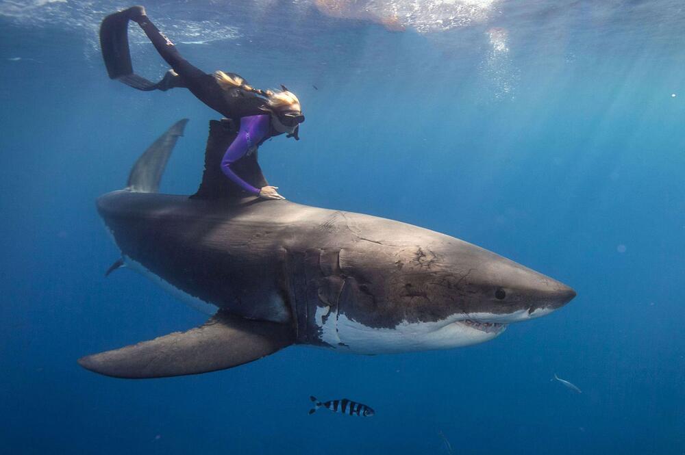 Ocean Ramsey