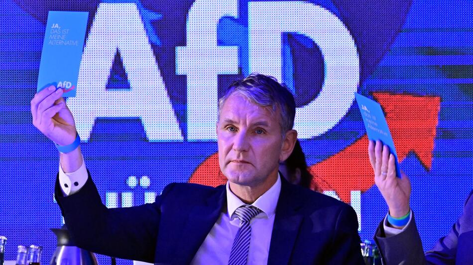 Die AfD und die "Hebel der Macht"