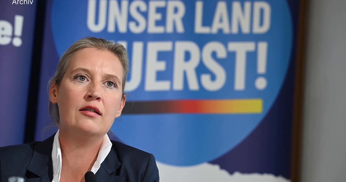 Video: AfD-Vorsitzende Weidel Sieht "Dexit"-Referendum Als Plan B | 1&1