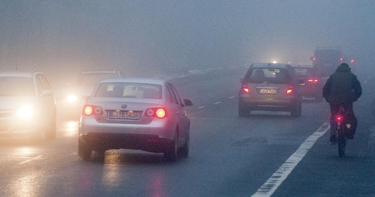 Nebel und schlechte Sicht: Sicher und ohne Bußgeld durch den Herbst | 1&1