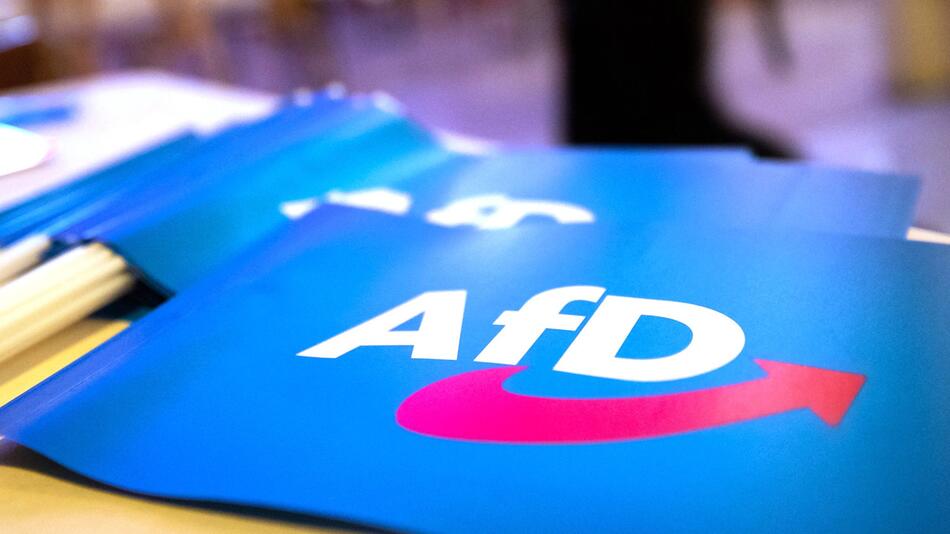 Debatte um ein AfD-Verbot