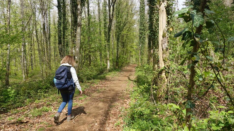 Eine Frau wandert im Wald