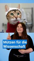 Nicht nur süß: Diese Mützen für Katzen haben eine wichtige Funktion