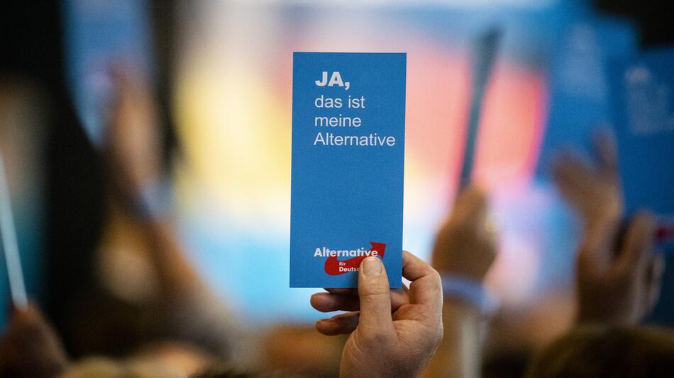 Landeswahlausschuss: AfD-Liste unvollständig