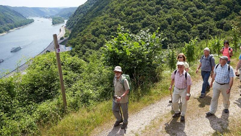 Wanderer auf der Traumschleife Rheingold