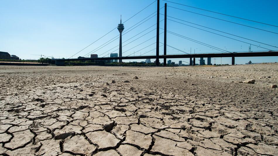 Sommerhitze - Rhein in Düsseldorf