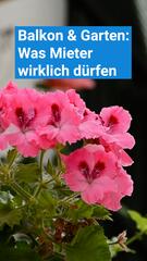 Balkon & Garten: Das dürfen Mieter wirklich