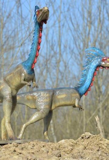 Zwei Coelophysis-Modelle