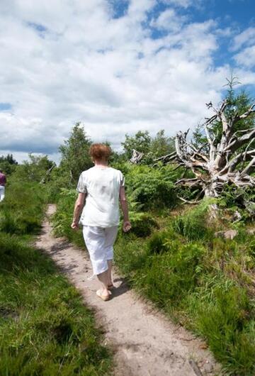 Wanderer auf dem Weg