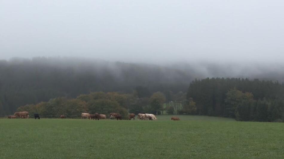 Viel Regen und milde Temperaturen: Turbulentes Herbstwetter erwartet