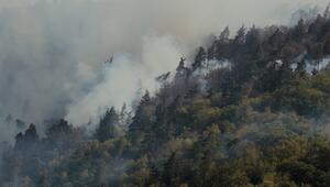 KORREKTUR Waldbrandgefahr: Wie Besucher Brände verhindern können