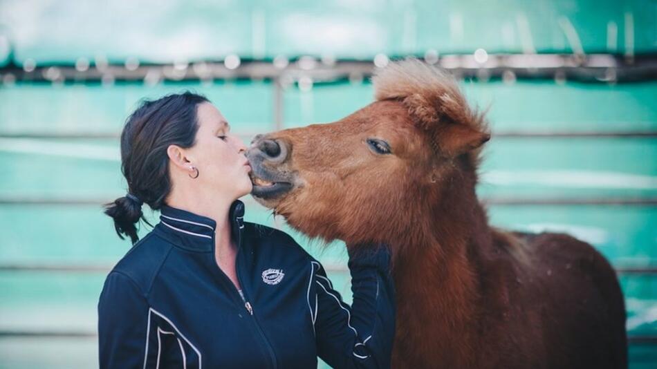 Ein eigenes Pony ist der Traum vieler Kinder.