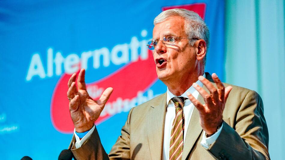 Gereon Bollmann (AfD)