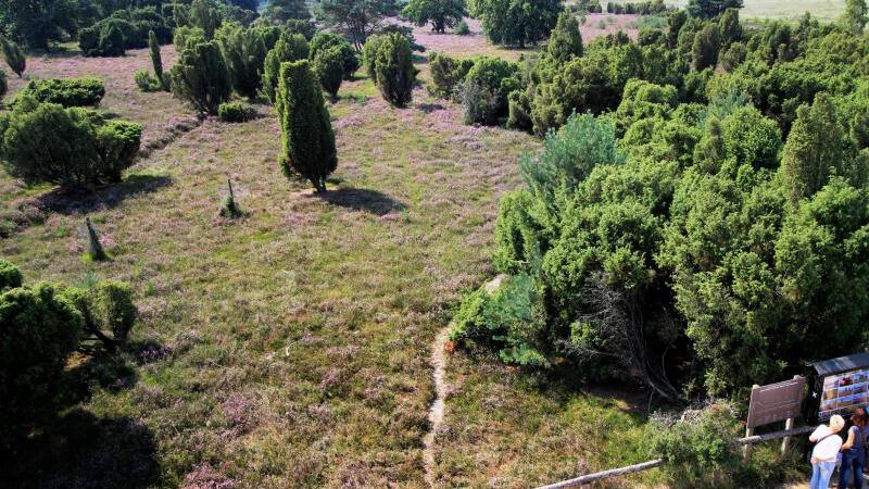 Heide bei Brüggen