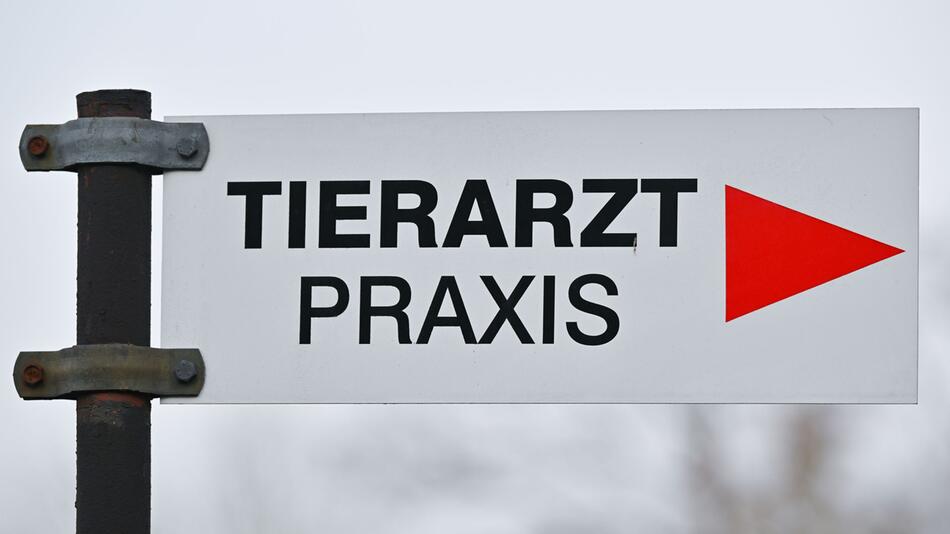 Tierarzt - Praxis