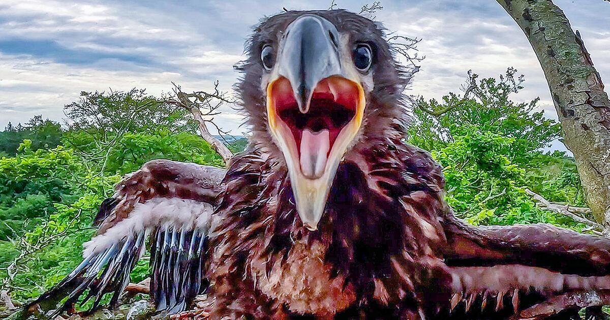 Fotos aus aller Welt - Juni 2025 | 1&1