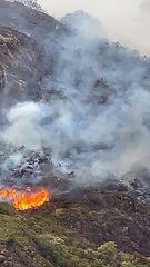 Großbrand auf Arthur's Seat in Edinburgh verwüstet Lebensraum von Wildtieren