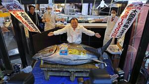 Erste Thunfischauktion des Jahres in Tokio