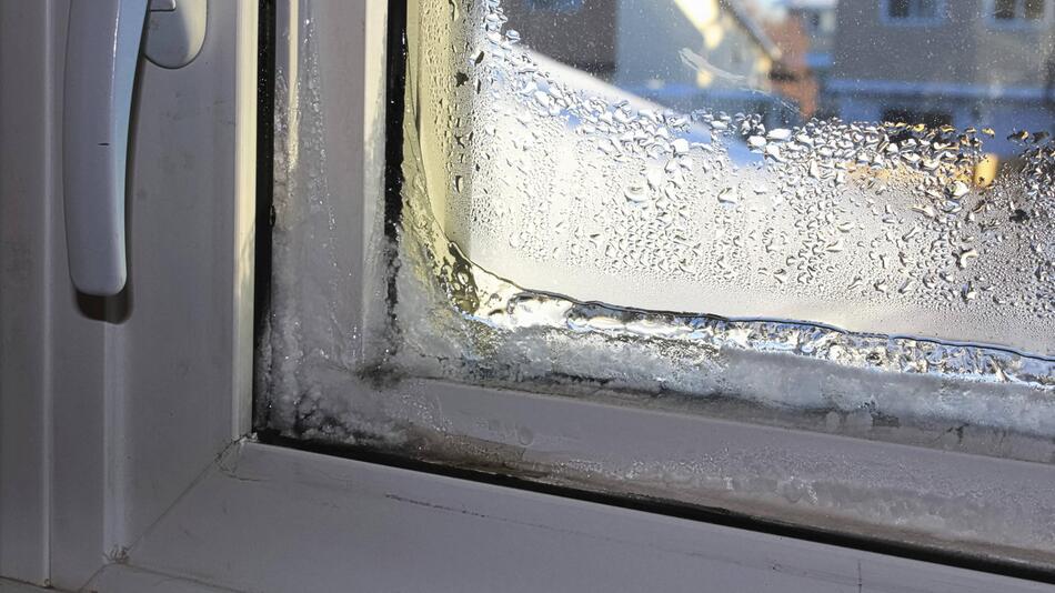 Fenster Werden Nass Im Winter