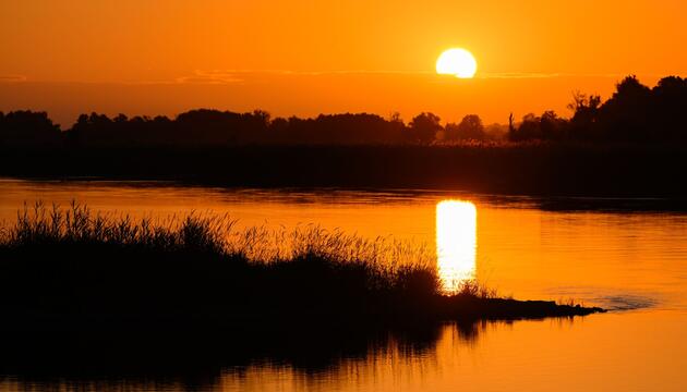 Sonnenaufgang am Fluss Oder
